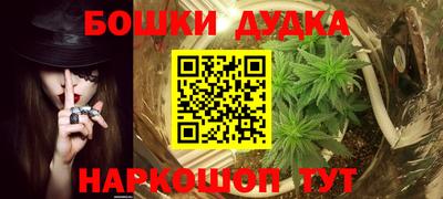 прущие грибы Кингисепп